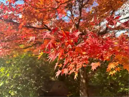 高源寺(兵庫県)