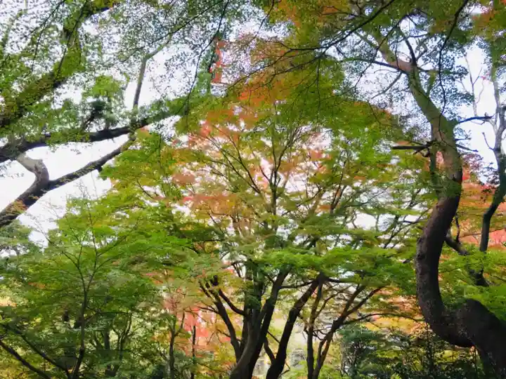 中尊寺本堂の自然
