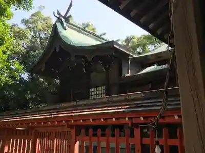 唐津神社の本殿・本堂