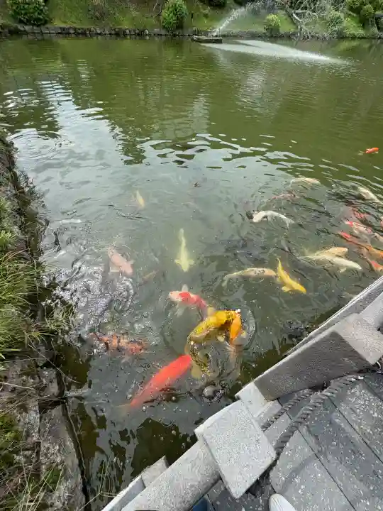 吉香神社(山口県)