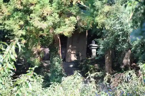 猫稲荷神社の景色