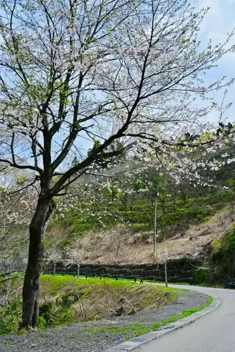 高龍神社(新潟県)