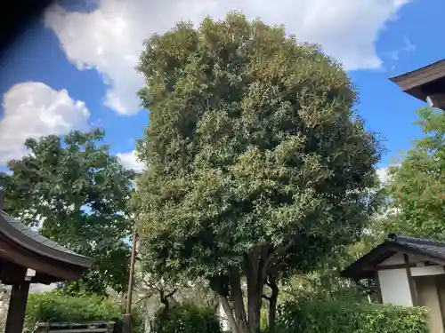 吉祥院(東京都)