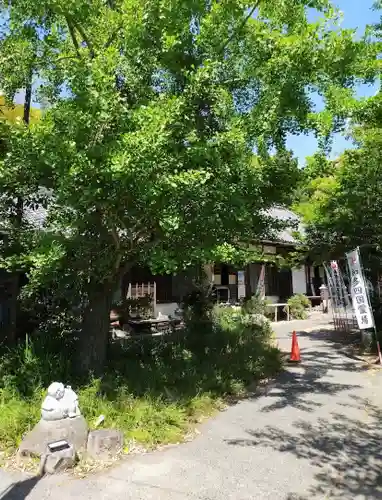 法山寺のその他建物