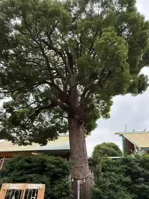 伊勢原大神宮(神奈川県)