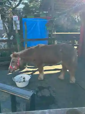 五方山熊野神社(東京都)