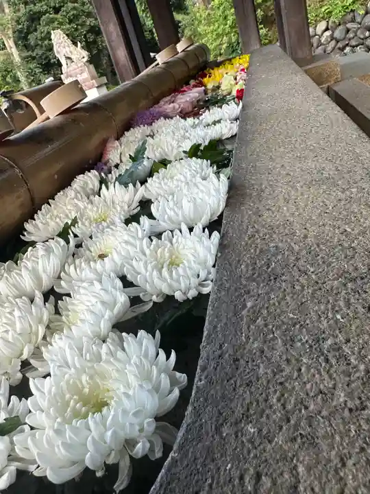 群馬県護国神社(群馬県)