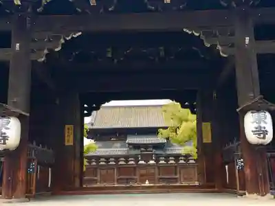 東寺(教王護国寺)の山門・神門