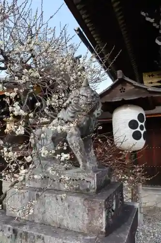 北野天満宮の{uncategorized: "未分類", other: "その他", undefined: "問題あり", building: "その他建物", grave: "お墓", sacred_gate: "鳥居", guardian: "狛犬", statue: "像", buddha: "仏像", history: "歴史", nature: "自然", garden: "庭園", animal: "動物", pagoda: "塔", temizu: "手水舎", mountain_gate: "山門・神門", sanctuary: "本殿・本堂", subordinate: "末社・摂社", art: "芸術", scenery: "景色", jizo: "地蔵", ema: "絵馬", goshuin: "御朱印", omikuji: "おみくじ", items: "授与品その他", amulet: "お守り", goshuincho: "御朱印帳", eats: "食事", festival: "お祭り", votive_dance: "神楽", shichigosan: "七五三参", wedding: "結婚式", experience: "体験その他", initially: "初詣", around: "周辺", anti_infection: "感染症対策"}
