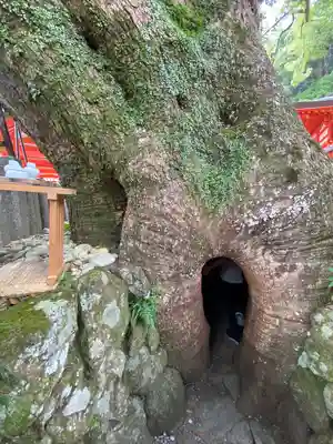 熊野那智大社(和歌山県)