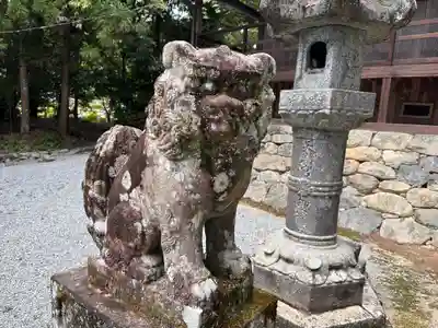吉野山口神社の狛犬