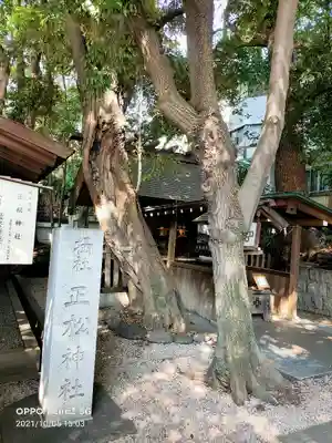 乃木神社の末社・摂社