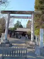 玉川神社の鳥居