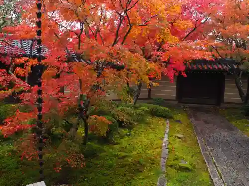 禅林寺（永観堂）(京都府)