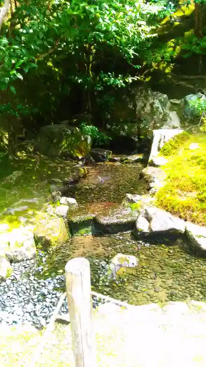 慈照寺(慈照禅寺・銀閣寺)の庭園