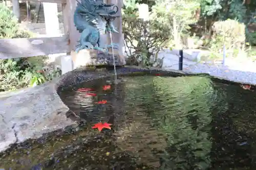 鹿島大神宮の手水舎
