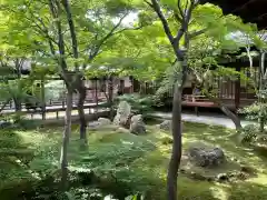 建仁寺（建仁禅寺）(京都府)