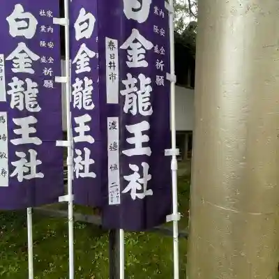 白金龍王社(愛知県)
