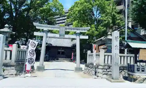 菅生神社の鳥居