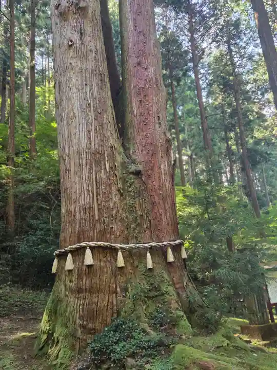 御岩神社の御朱印