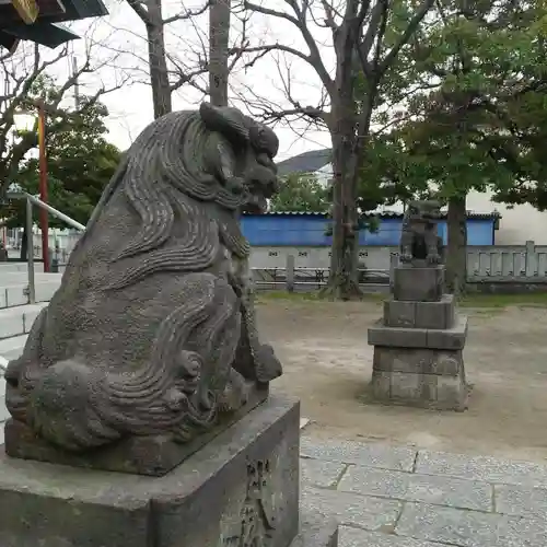 上小松天祖神社の狛犬