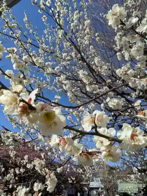 新宿下落合氷川神社(東京都)