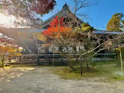 光明寺（粟生光明寺）の{uncategorized: "未分類", other: "その他", undefined: "問題あり", building: "その他建物", grave: "お墓", sacred_gate: "鳥居", guardian: "狛犬", statue: "像", buddha: "仏像", history: "歴史", nature: "自然", garden: "庭園", animal: "動物", pagoda: "塔", temizu: "手水舎", mountain_gate: "山門・神門", sanctuary: "本殿・本堂", subordinate: "末社・摂社", art: "芸術", scenery: "景色", jizo: "地蔵", ema: "絵馬", goshuin: "御朱印", omikuji: "おみくじ", items: "授与品その他", amulet: "お守り", goshuincho: "御朱印帳", eats: "食事", festival: "お祭り", votive_dance: "神楽", shichigosan: "七五三参", wedding: "結婚式", experience: "体験その他", initially: "初詣", around: "周辺", anti_infection: "感染症対策"}