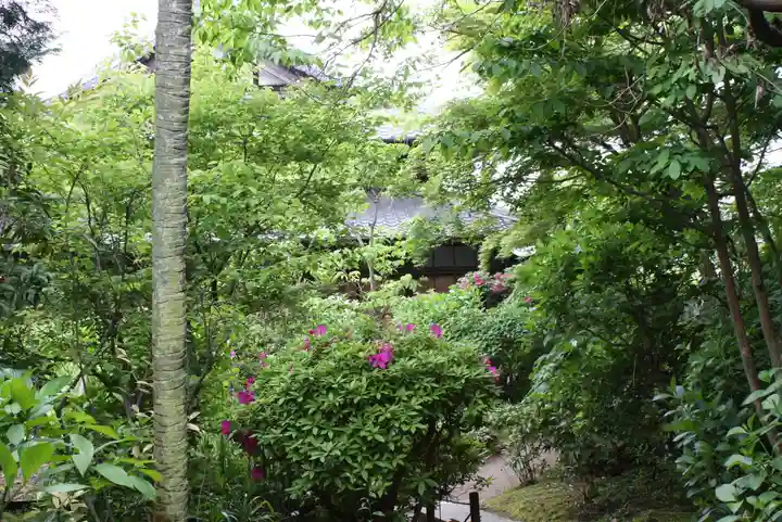 當麻寺中之坊(奈良県)