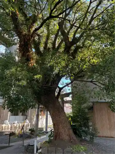千勝浅間神社(静岡県)