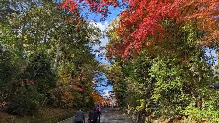 光明寺(粟生光明寺)(京都府)