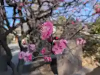 北野神社(東京都)