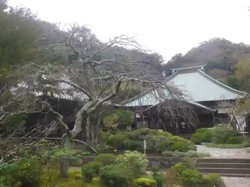 海蔵寺の庭園