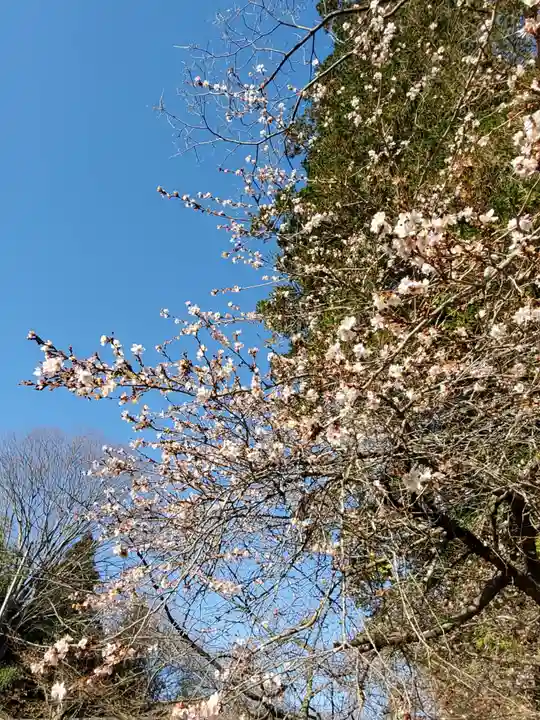 鹿島大神宮(福島県)
