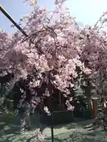 水火天満宮の自然