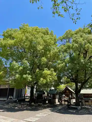 亀戸 香取神社の自然
