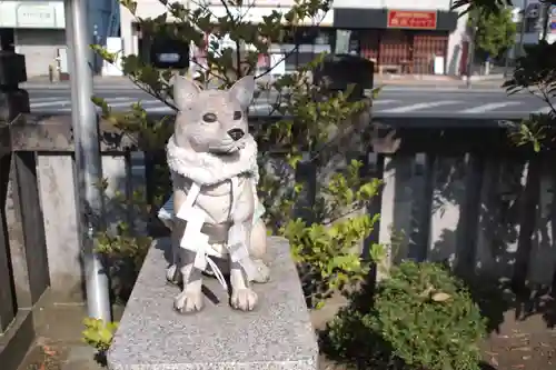 今泉八坂神社の狛犬