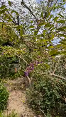 上宮王院聖徳寺(京都府)