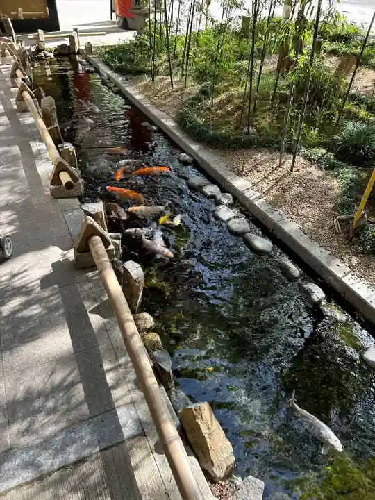 秩父神社の動物