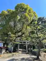 白髭神社(神奈川県)
