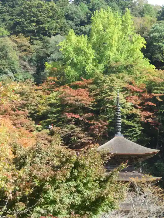 金剛院のその他建物