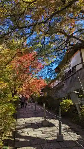 曼殊院門跡(京都府)