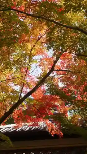 常照寺の自然