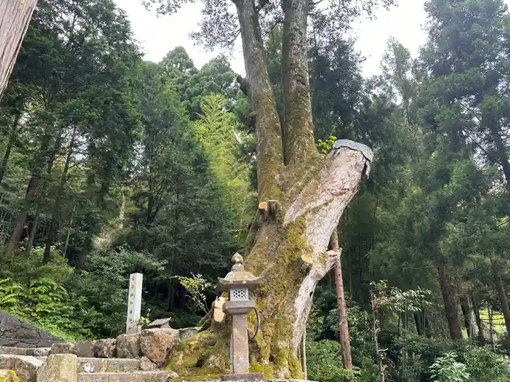 八幡神社(福井県)