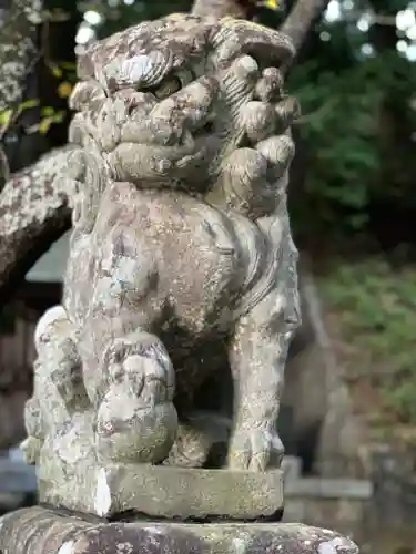 河口浅間神社の狛犬