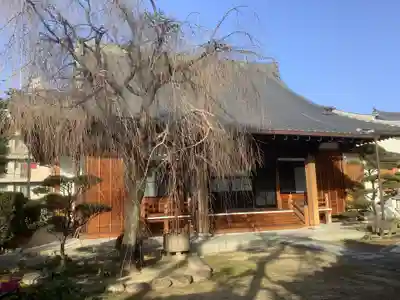 久松寺の本殿・本堂
