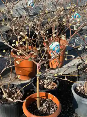 清水寺(栃木県)