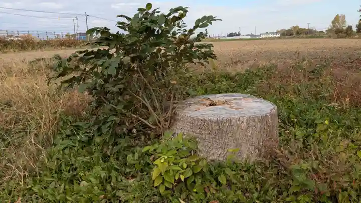 下士別神社の自然