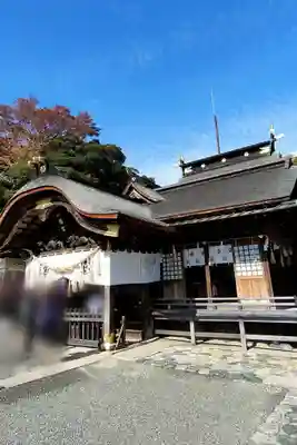 飯野八幡宮の本殿・本堂