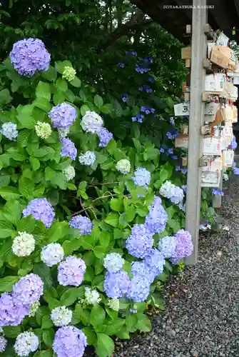 龍口明神社(神奈川県)