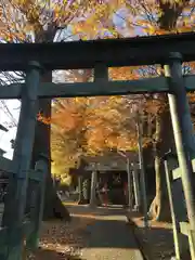 春日神社の鳥居